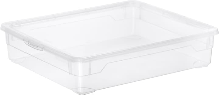 Image of Rotho Clear Box Shirt Aufbewahrungsbox