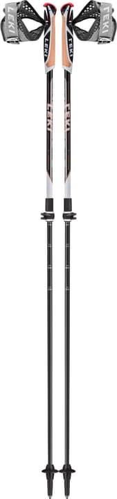 Image of Leki Instructor Lite Nordic Walking Stock schwarz bei Migros SportXX