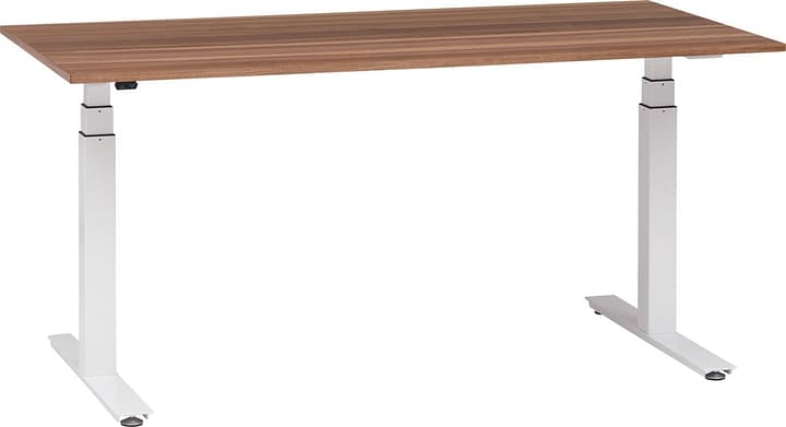 HOME Pult HOME Pult 401853400000 Grösse B: 200.0 cm x T: 80.0 cm x H: 64.5 cm Farbe Nussbaum Bild Nr. 1