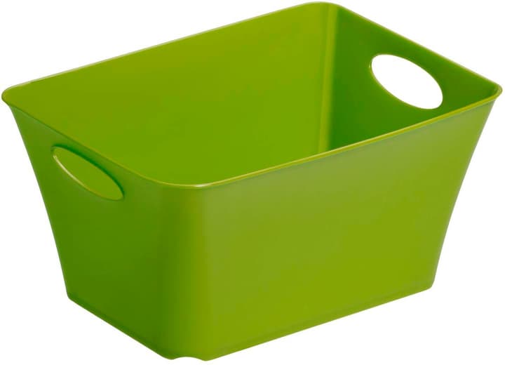 Image of Rotho LIVING Box 1.5l, Kunststoff (PP) BPA-frei, grün Korb