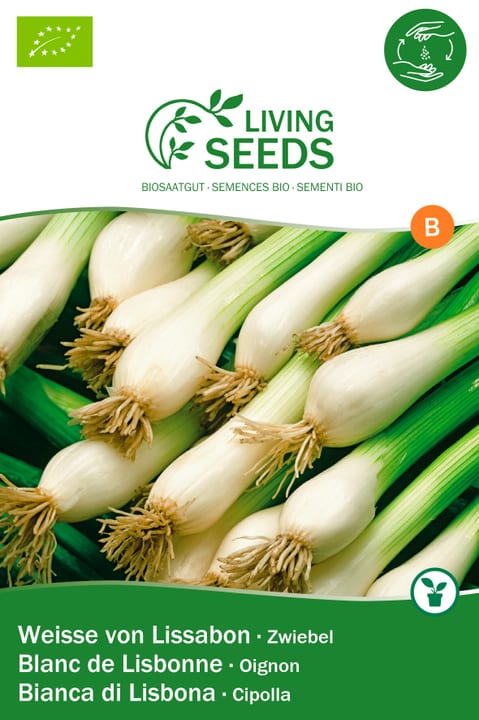 Image of Living Seeds Zwiebel, Weiße von Lissabon Gemüsesamen