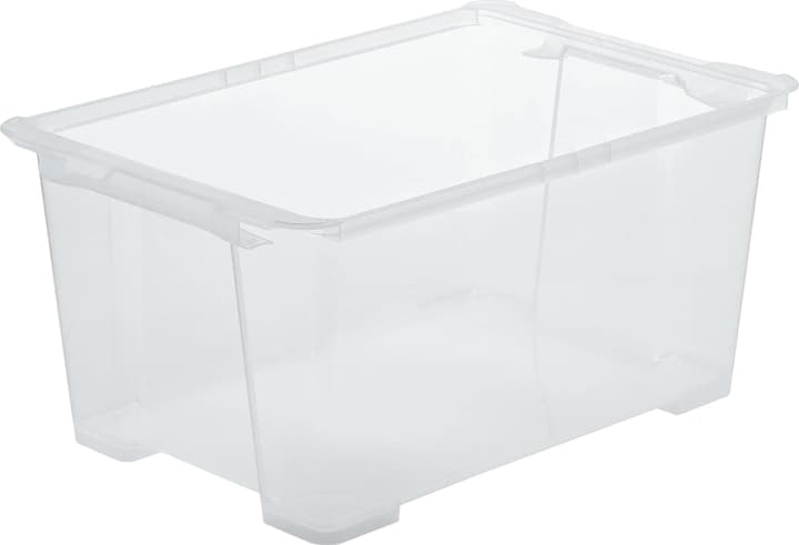 Image of Rotho Evo Easy 44 l Aufbewahrungsbox
