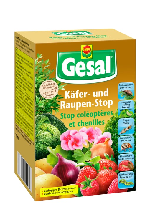 Image of Compo Gesal Käfer- und Raupen-Stop, 75 ml Insektizid bei Do it + Garden von Migros