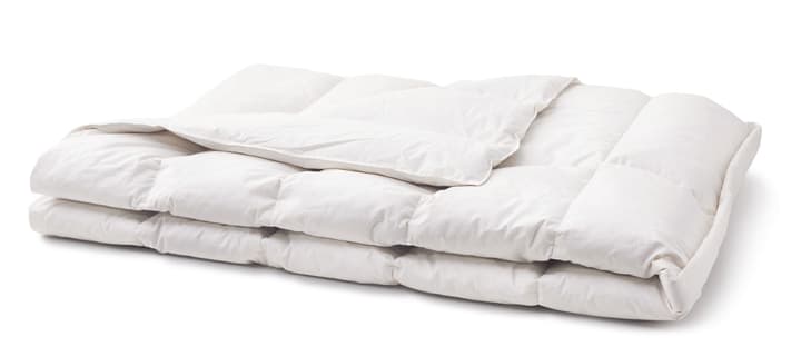 PRIMADAUN STANDARD Couette PRIMADAUN STANDARD Couette 451745312410 Couleur Blanc Dimensions L: 160.0 cm x P: 240.0 cm Photo no. 1