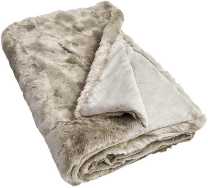ORSINO Decke ORSINO Decke 451637443181 Farbe Hellgrau Grösse B: 130.0 cm x H: 170.0 cm Bild Nr. 1