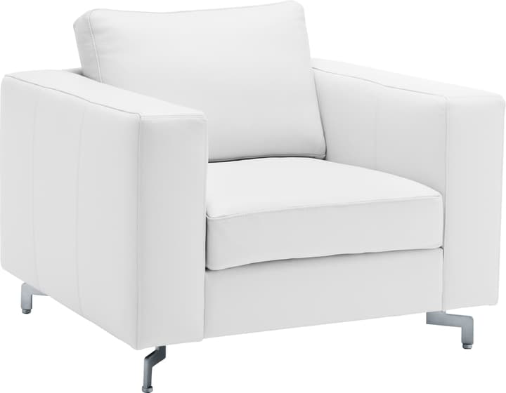 DIENER Sessel DIENER Sessel 402470700000 Farbe Ecru Grösse B: 97.0 cm x T: 92.0 cm x H: 80.0 cm Bild Nr. 1