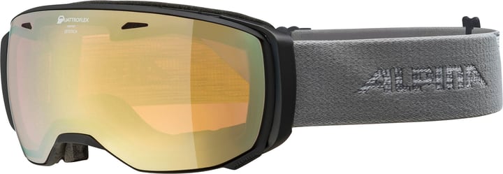 Image of Alpina Estetica Q Skibrille / Snowboardbrille dunkelgrau