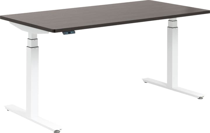 FLEXCUBE Bureau FLEXCUBE Bureau 401836600000 Dimensions L: 160.0 cm x P: 80.0 cm x H: 75.0 cm Couleur Noyer Photo no. 1