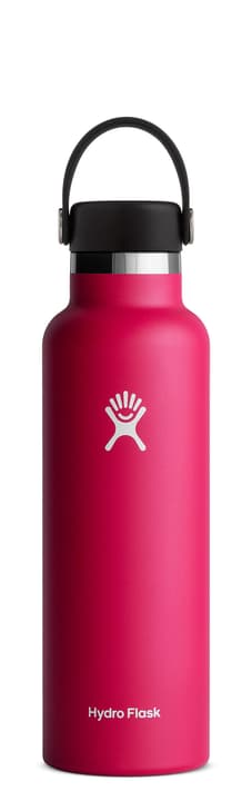 Image of Hydro Flask Standard Mouth 21 oz Isolierflasche / Thermosflasche himbeer bei Migros SportXX