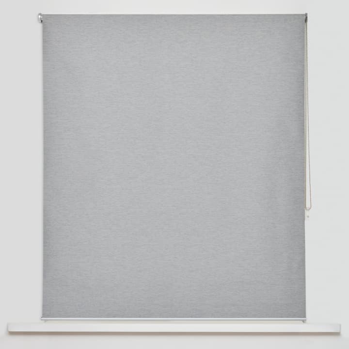 Image of RAFAEL Rollo bei Do it + Garden von Migros