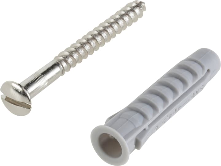 fischer Nylondübel SX 8 inkl. Schrauben Nylondübel SX 8 inkl. Schrauben fischer 605411600000 Bild Nr. 1
