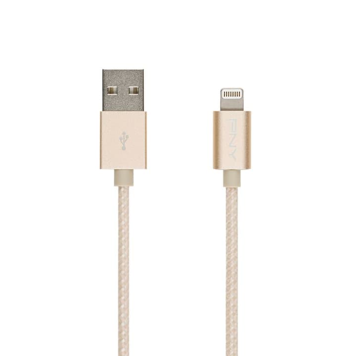 PNY Technologies Lightning pour iPhone/iPad/iPod 1,20m or Câble de charge Lightning pour iPhone/iPad/iPod 1,20m or Câble de charge PNY Technologies 785300126355 Photo no. 1