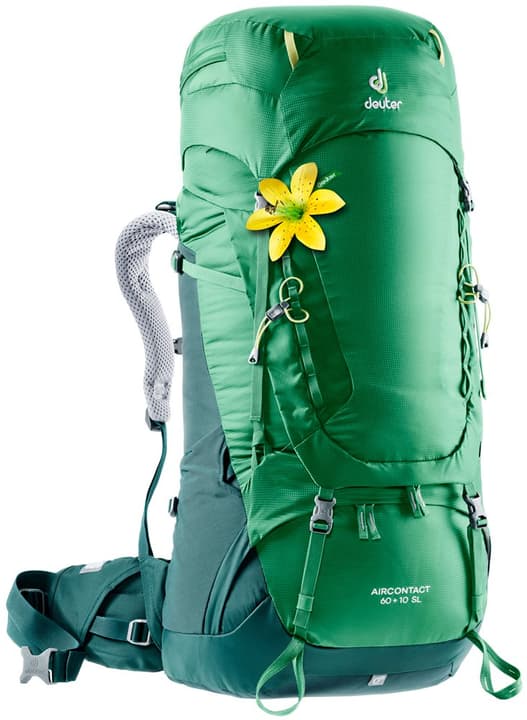Image of Deuter Aircontact 60 + 10 SL Damen-Trekkingrucksack grün bei Migros SportXX
