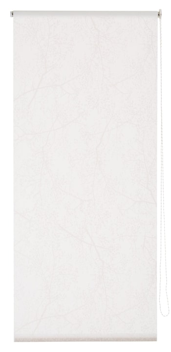 SPRING Rollo SPRING Rollo 430746704210 Farbe Weiss Grösse B: 42.0 cm x H: 130.0 cm Bild Nr. 1