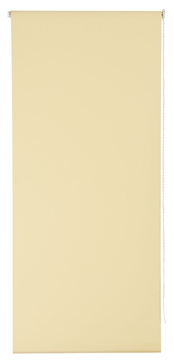POLAR Rollo POLAR Rollo 430745408250 Farbe Gelb Grösse B: 82.0 cm x T: 185.0 cm x H: Bild Nr. 1