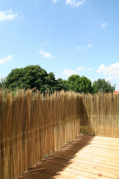 Image of Videx Balkonsichtschutz California 100x300cm Sichtschutzmatte bei Do it + Garden von Migros