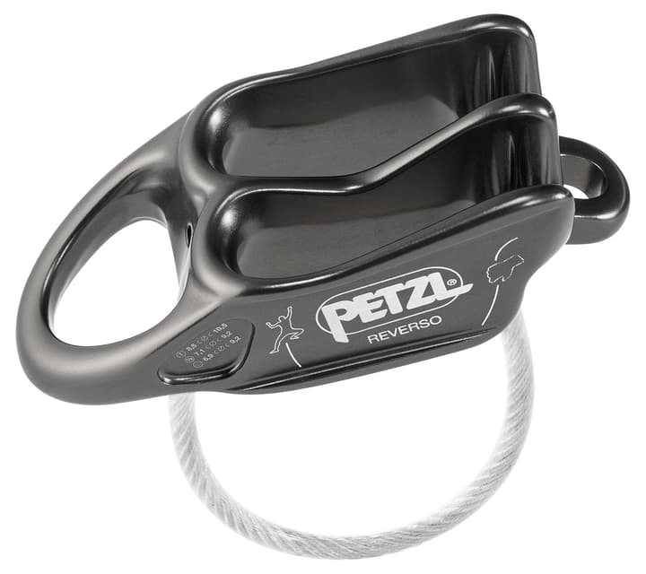 Image of Petzl Reverso Grau Sicherungsgerät