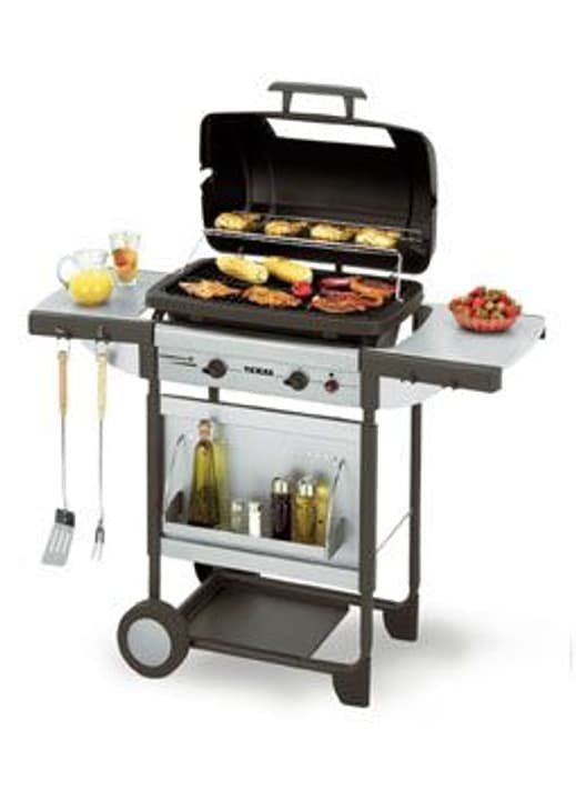 Ersatzteile & Zubehör zu Campingaz Campingaz Gasgrill Texas