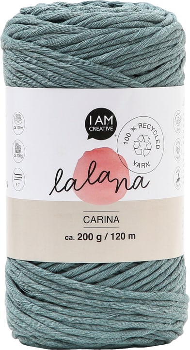 Image of Carina salvia, Lalana Garn für Häkeln, Stricken, Weben & Makramee Projekte, Graublau, 3 mm x ca. 120 m, 200 g, 1 Strang Wolle
