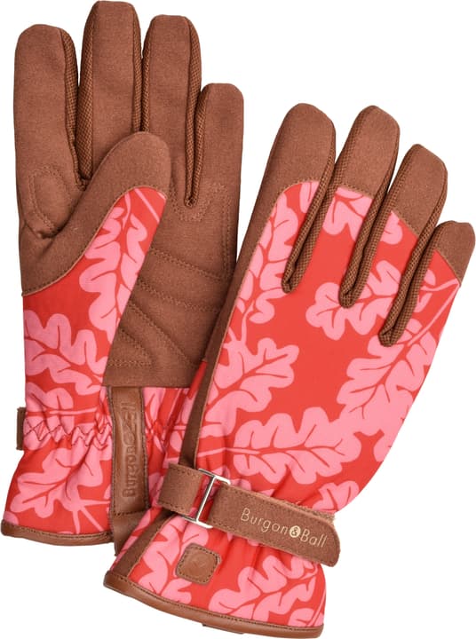 Image of BURGON & BALL Love The Glove Oak Leaf Gartenhandschuhe
