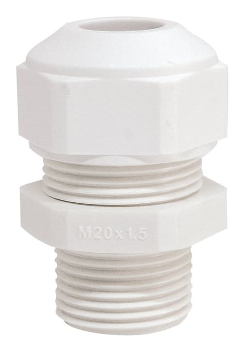 Image of Steffen M20 2 Stk. Kabelverschraubung bei Do it + Garden von Migros