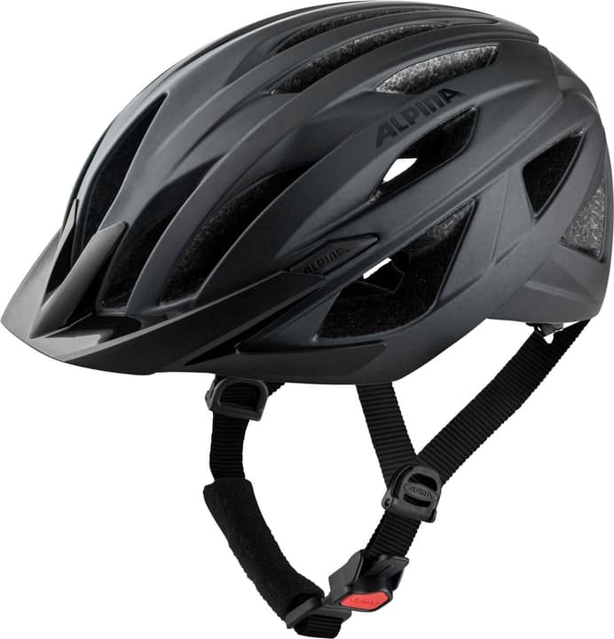 Image of Alpina Parana Velohelm schwarz