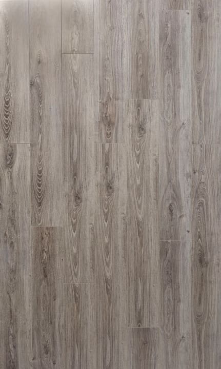 Image of Swisskrono Swiss Noblesse V4 8 mm, New York Oak Laminat bei Do it + Garden von Migros