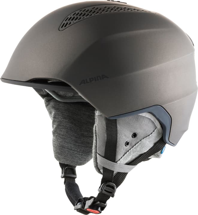 Image of Alpina Grand Lavalan Wintersport Helm grau