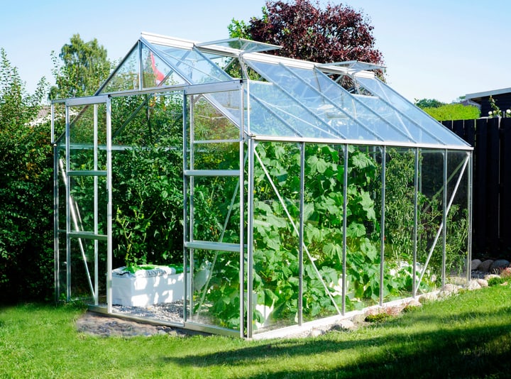 Image of VITAVIA Uranus 9900 Gewächshaus bei Do it + Garden von Migros