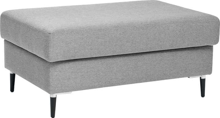 DIENER Pouf DIENER Pouf 407426700000 Couleur Gris clair Dimensions L: 100.0 cm x P: 64.0 cm x H: 45.0 cm Photo no. 1