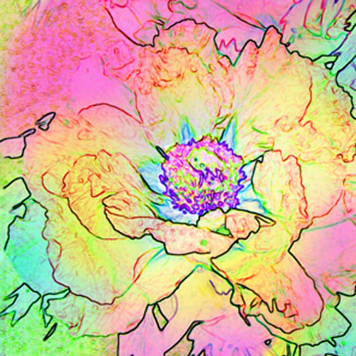 Feldner + Partner Avantgarde Serviettes Saison, 20 pcs. 33x33 cm, Flower Spirit Avantgarde Serviettes Saison, 20 pcs. 33x33 cm, Flower Spirit Feldner + Partner 665744700000 Photo no. 1