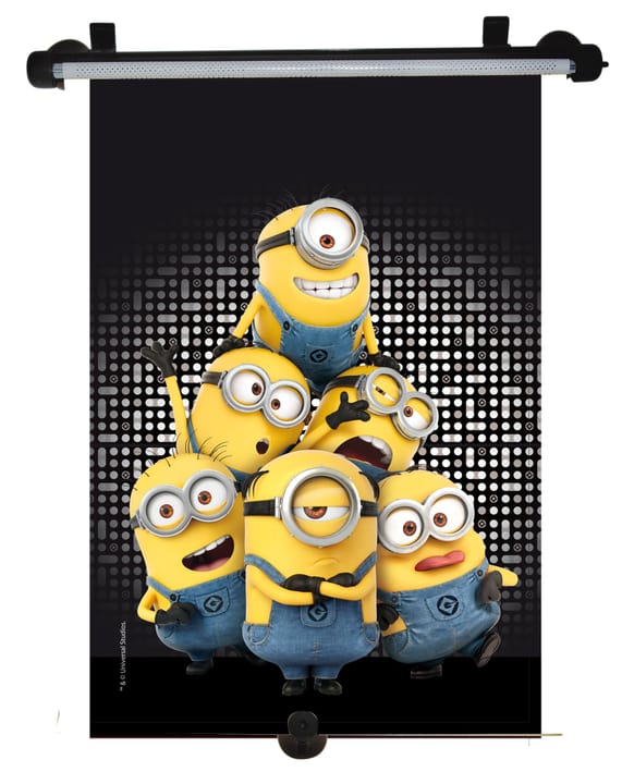 Image of Minion Sonnenrollo Sonnenschutz bei Do it + Garden von Migros