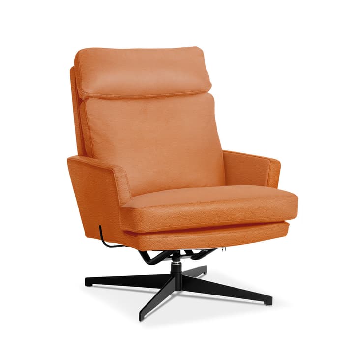 AIDEN Sessel AIDEN Sessel 360040871305 Grösse B: 75.0 cm x T: 90.0 cm x H: 105.0 cm Farbe Cognac Bild Nr. 1