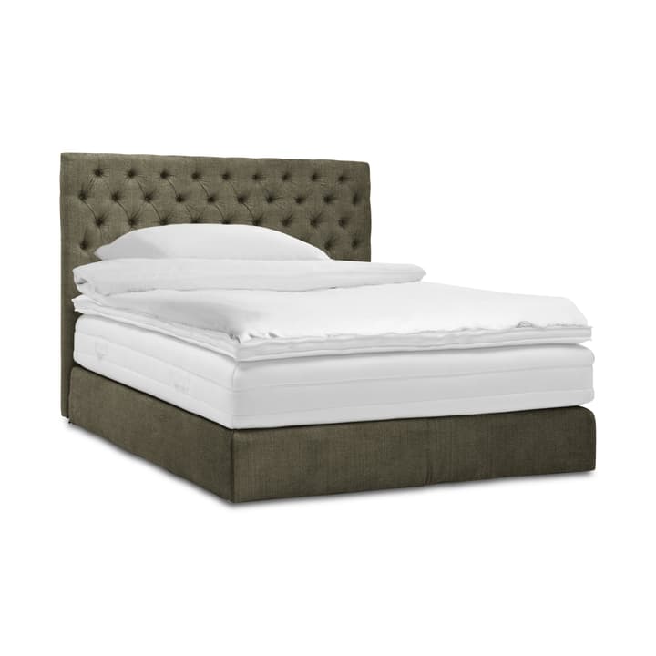 GRACE Boxspringbett GRACE Boxspringbett 364292500000 Grösse B: 200.0 cm x T: 160.0 cm Farbe Dunkelgrün Bild Nr. 1