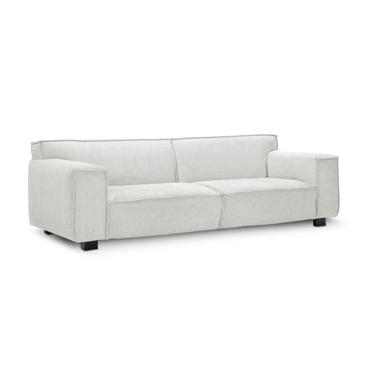 VESTA Runner Canapé VESTA Runner Canapé 360009378803 Dimensions L: 230.0 cm x P: 96.0 cm x H: 74.0 cm Couleur Gris clair Photo no. 1