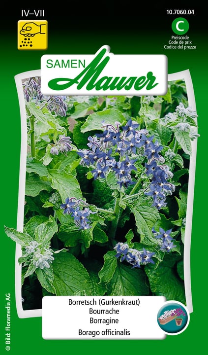Image of Samen Mauser Borretsch (Gurkenkraut) Kräutersamen