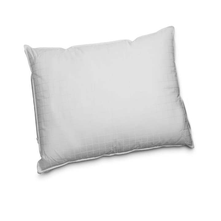 DREAM FIBRE ADJUSTABLE Oreiller synthétique de luxe DREAM FIBRE ADJUSTABLE Oreiller synthétique de luxe 376044200000 Dimensions L: 65.0 cm x L: 65.0 cm Couleur Blanc Photo no. 1