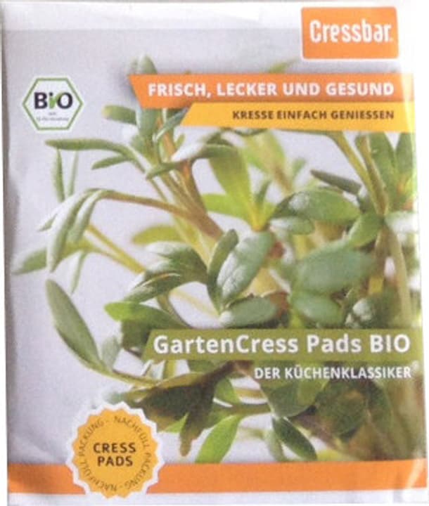 Samen Mauser Cresspads Kresse Bio Cresspads Kresse Bio Samen Mauser 650139800000 Bild Nr. 1