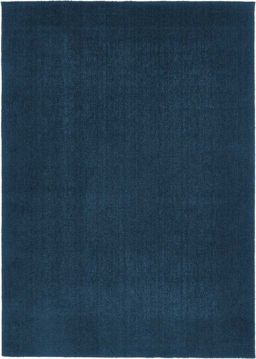 COSY FEEL Tapis COSY FEEL Tapis 412013212040 Couleur bleu Dimensions L: 120.0 cm x P: 170.0 cm Photo no. 1
