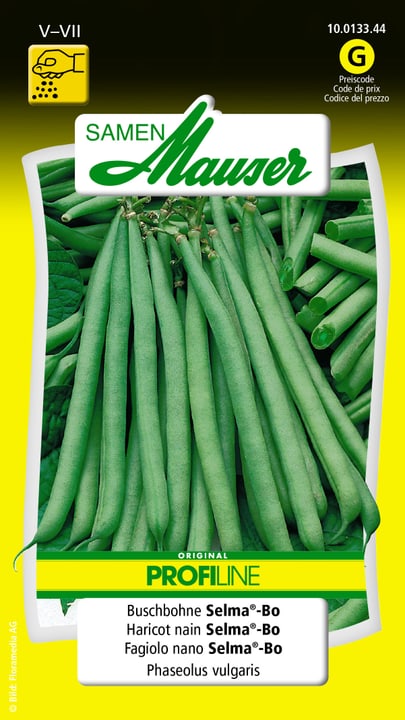 Image of Samen Mauser Buschbohne Selma-Bo Gemüsesamen bei Do it + Garden von Migros