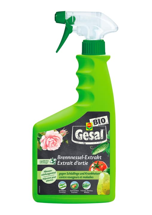 Image of Compo Gesal Brennnessel-Extrakt, 750 ml Pflanzenstärkung bei Do it + Garden von Migros