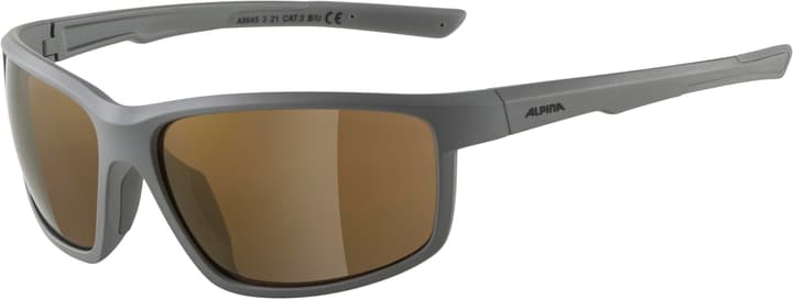 Image of Alpina Defey Sportbrille grau