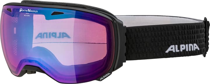 Image of Alpina BIG Horn QVM Skibrille / Snowboardbrille kohle