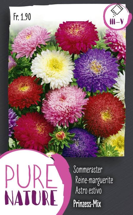 Image of Sommeraster 'Prinzess' Mischung 1g Blumensamen bei Do it + Garden von Migros