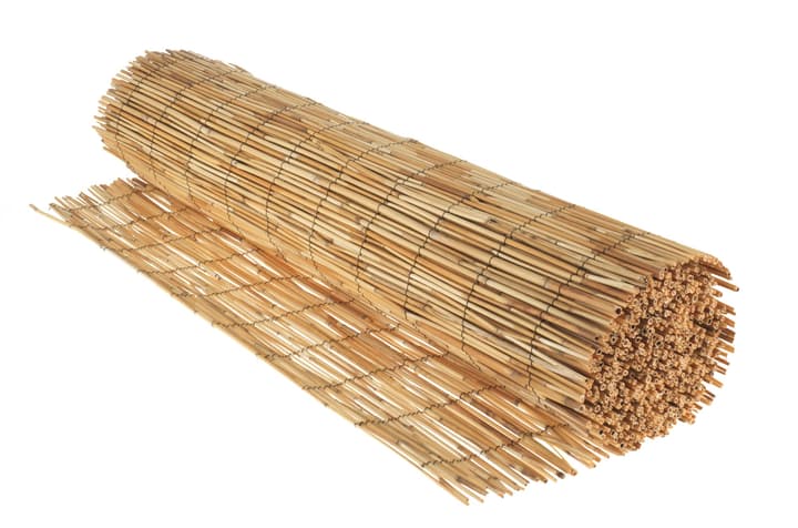 Image of Schilfrohrmatte geschält Sichtschutzmatte