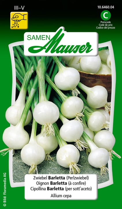 Image of Samen Mauser Zwiebel Barletta (Perlzwiebel) Gemüsesamen bei Do it + Garden von Migros