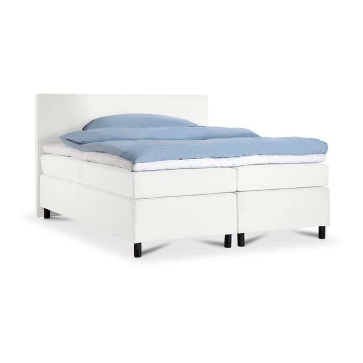 CHILL II Letto boxspring Typ B CHILL II Letto boxspring Typ B 364105315305 Dimensioni L: 200.0 cm x P: 200.0 cm Colore Beige N. figura 1