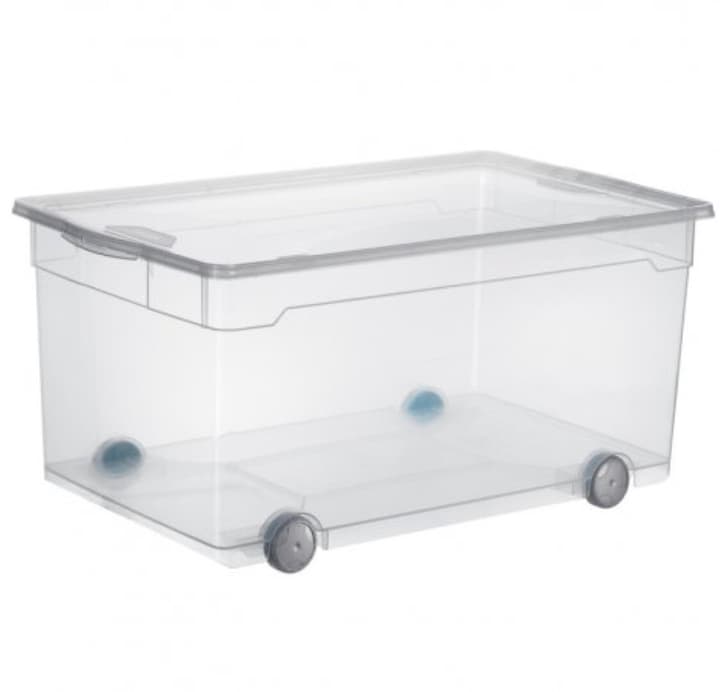 Image of Rotho Clearbox mit Rollen 63 l Aufbewahrungsbox bei Do it + Garden von Migros