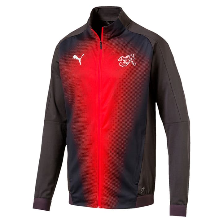 Puma Suisse Stadium Jacket Veste de football aux couleurs de la Suisse Suisse Stadium Jacket Veste de football aux couleurs de la Suisse Puma 498280500486 Couleur antracite Taille M Photo no. 1
