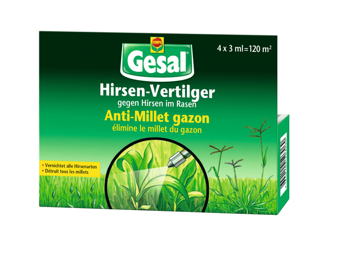 Image of Compo Gesal Hirse-Vertilger, 4 x 3 ml Rasenunkraut bei Do it + Garden von Migros